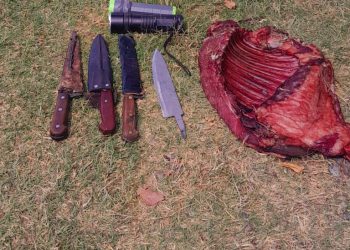 POMONA: Dos personas infraccionadas por caza ilegal y maltrato animal