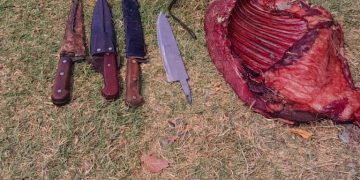 POMONA: Dos personas infraccionadas por caza ilegal y maltrato animal