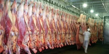 El precio de la carne vuelve a subir mientras el Gobierno impulsa exportaciones y amplía cupos con EEUU