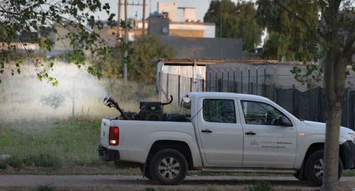 BAHIA BLANCA: Programa de fumigación