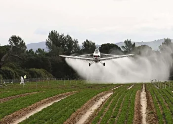 Senadores kirchneristas destacaron el inicio de un juicio por el uso de agrotóxicos: “Marca un precedente histórico”