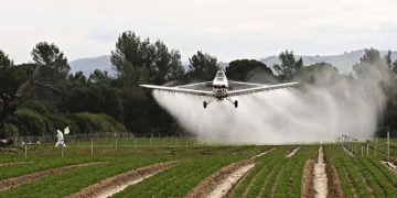 Senadores kirchneristas destacaron el inicio de un juicio por el uso de agrotóxicos: “Marca un precedente histórico”