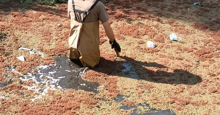 LAMARQUE: CONTINÚAN LOS RASTRILLAJES Y ALLANAMIENTOS POR LA DESAPARICION DE UNA PERSONA Desde el jueves 26 de febrero por la tarde, cuando una mujer de 50 años se acercó a la comisaría de Lamarque preocupada por no saber nada de su hijo desde el domingo 22, la última vez que lo había visto, la Policía de Río Negro ha mantenido una búsqueda constante para dar con el paradero de Kevin Hernández, de 26 años de edad.