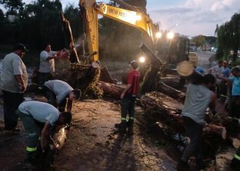 SIERRA DE LA VENTANA: Continúan los trabajos en el acceso