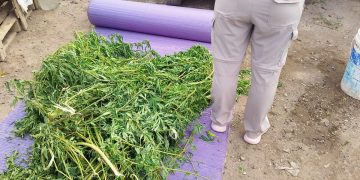 CORONEL BELISLE: Desarticulan un punto de venta de drogas