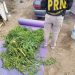 CORONEL BELISLE: Desarticulan un punto de venta de drogas