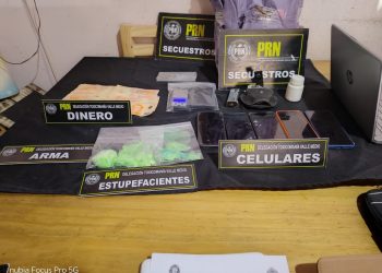CHOELE CHOEL: Allanamiento por narcomenudeo: secuestran cocaína, plantas de cannabis y un vehículo