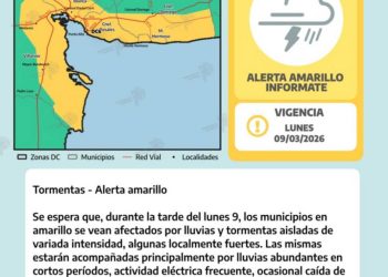 BAHIA BLANCA: El Servicio Meteorológico emitió un alerta amarillo para este lunes por tormentas