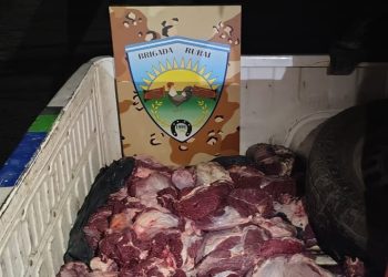 LAMARQUE: Fuga frustrada «llevaba carne clandestina en la caja de la camioneta»