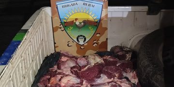 LAMARQUE: Fuga frustrada «llevaba carne clandestina en la caja de la camioneta»