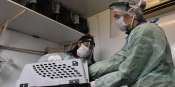 BAHIA BLANCA: Veterinaria y zoonosis: atención programada entre el 2 y 6 de marzo