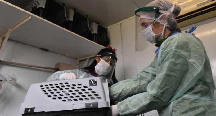 BAHIA BLANCA: Veterinaria y zoonosis: atención programada entre el 2 y 6 de marzo  *Atención primaria veterinaria: De lunes a viernes de 10 a 12.30 en unidad sanitaria veterinaria de Villa Serra (Tarija 1350).