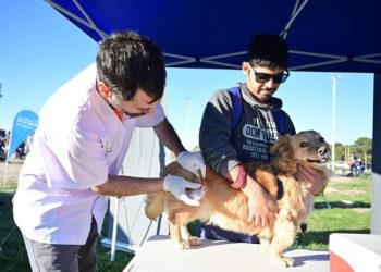 BAHIA BLANCA: Veterinaria y Zoonosis: atención del 25 al 27 de marzo