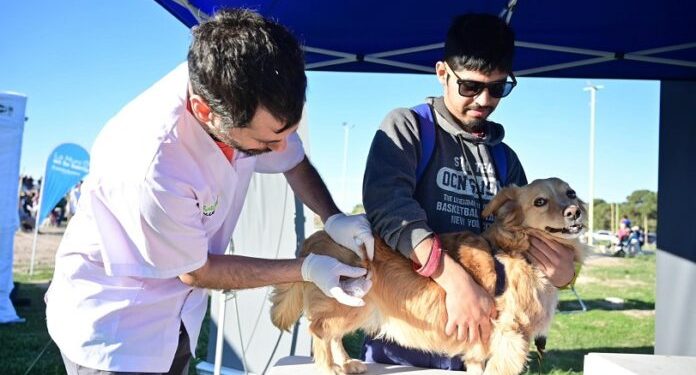 BAHIA BLANCA: Veterinaria y Zoonosis: atención del 25 al 27 de marzo  Se brindará atención primaria, habrá jornadas de vacunación antirrábica y castraciones en los móviles quirúrgicos.