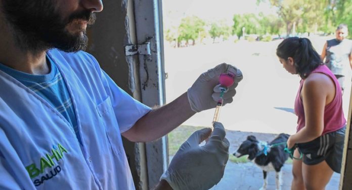 BAHIA BLANCA: Atención destinadas a mascotas
