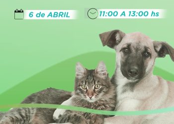 ZALDUNGARAY: Habrá una jornada de vacunación antirrábica y desparasitación