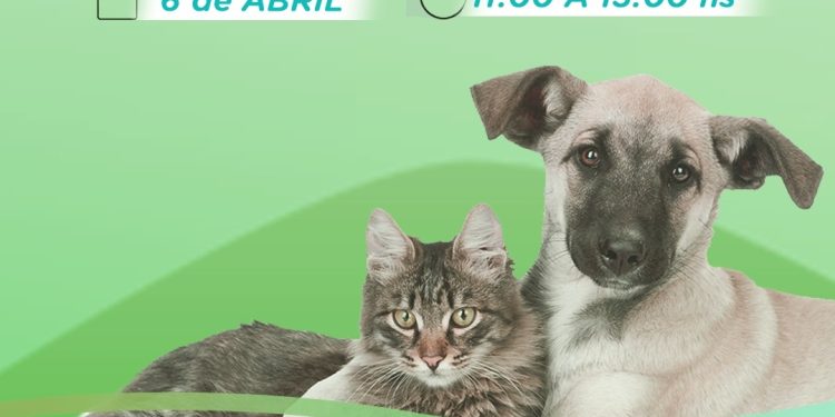 ZALDUNGARAY: Habrá una jornada de vacunación antirrábica y desparasitación  La Subsecretaría de Bromatología y Zoonosis realizará una jornada gratuita de vacunación antirrábica y desparasitación gratuita para caninos y felinos en Saldungaray.