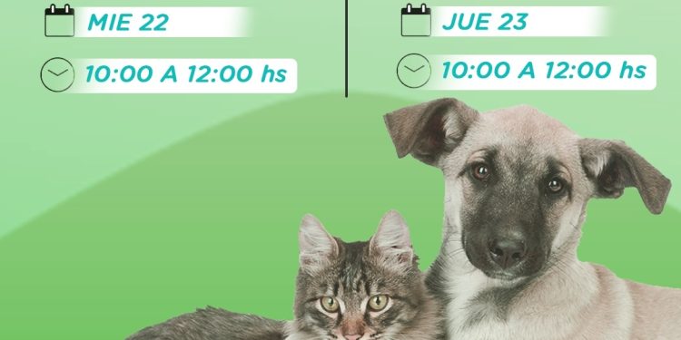 TRES PICOS Y VILLA SERRANA LA GRUTA: Habrá jornadas de vacunación antirrábica  La Subsecretaría de Bromatología y Zoonosis continuará con su campaña gratuita de vacunación antirrábica para caninos y felinos, siguiendo con las acciones de prevención y cuidado de la salud animal que se vienen desarrollando en todo el distrito.