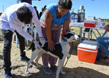 BAHIA BLANCA: Veterinaria municipal «cronograma de atención para la semana del 20 al 24 de abril»