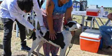 BAHIA BLANCA: Veterinaria municipal «cronograma de atención para la semana del 20 al 24 de abril»