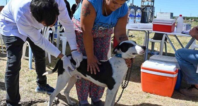 BAHIA BLANCA: Veterinaria municipal «cronograma de atención para la semana del 20 al 24 de abril»
