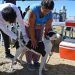 BAHIA BLANCA: Veterinaria municipal «cronograma de atención para la semana del 20 al 24 de abril»