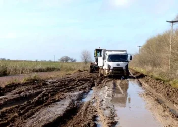 Caminos rurales: CARBAP celebró el fallo que anula el cobro de tasas municipales