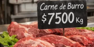CHUBUT: Una carnicería vende carne de burro a $7.500 el kilo
