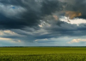 TORNQUIST: Alerta amarilla por fuerte vientos para el domingo en todo el distrito