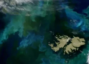 Reuters filtró un informe que asegura que Donald Trump retiraría su apoyo al Reino Unido por las Islas Malvinas