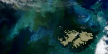 Reuters filtró un informe que asegura que Donald Trump retiraría su apoyo al Reino Unido por las Islas Malvinas