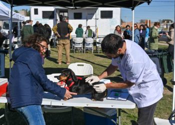BAHIA BLANCA: Veterinaria y Zoonosis: cómo será la atención del 6 al 10 de abril