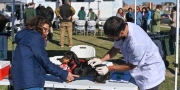 BAHIA BLANCA: Veterinaria y Zoonosis: cómo será la atención del 6 al 10 de abril