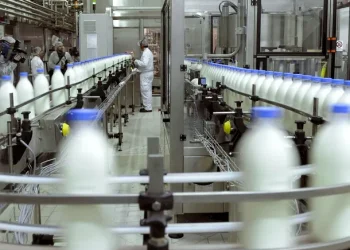 SanCor pidió su quiebra y acumula una deuda de casi 120 millones de dólares