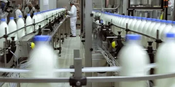 SanCor pidió su quiebra y acumula una deuda de casi 120 millones de dólares