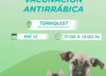 TORNQUIST: Miércoles 13 jornada de vacunación antirrábica