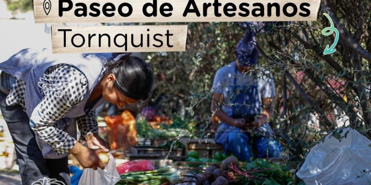 TORNQUIST: Feria Municipal Distrital este sábado  Este sábado 30, se realizará la Feria Municipal Distrital en Tornquist, de 8 a 12 h en el Paseo de Artesanos de la Plaza Ernesto Tornquist.