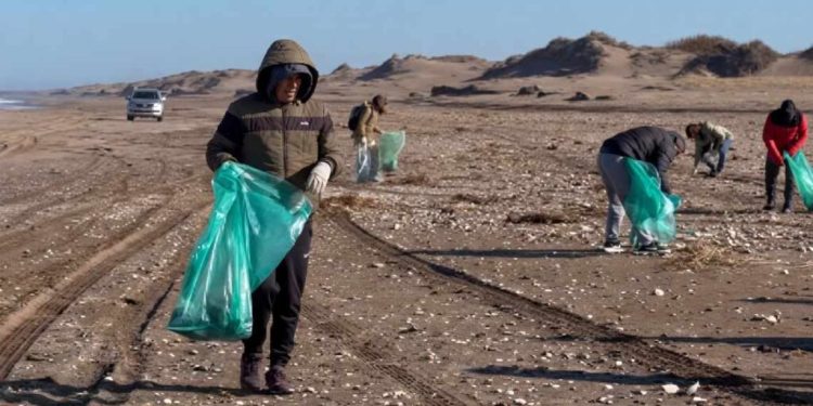 MONTE HERMOSO: Tras la sudestada: voluntarios retiraron más de 4 toneladas de residuos de la costa  La jornada ecológica solidaria permitió retirar residuos inorgánicos, maderas y chapas arrastradas por el temporal