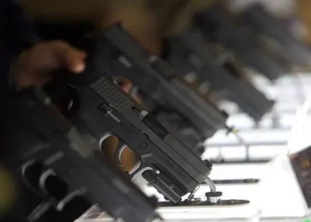 El Ministerio de Seguridad ofrece una recompensa millonaria para dar con una banda de traficantes de armas