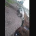 BAHIA BLANCA: Manejaba alcoholizado y terminó con su auto dentro del Canal Maldonado