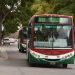 BAHIA BLANCA: Desde este sábado ya rige el nuevo aumento en el boleto de colectivo