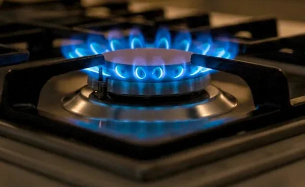 Paso a paso: cómo saber si todavía tengo el beneficio de subsidio en el gas en invierno  El programa de Subsidios Energéticos Focalizados (SEF) posee una serie de requisitos excluyentes y un trámite unificado para todos los usuarios.