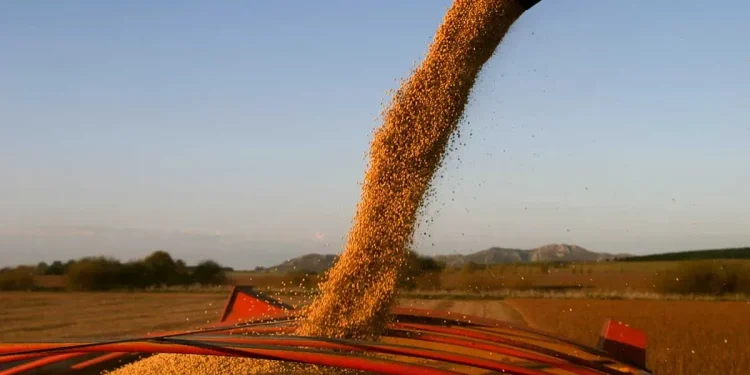 El Gobierno confirmó una nueva baja de retenciones para el sector agropecuario  Javier Milei confirmó una rebaja de retenciones para trigo, cebada y soja, además de anticipar beneficios fiscales para sectores industriales.