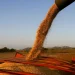 El Gobierno confirmó una nueva baja de retenciones para el sector agropecuario