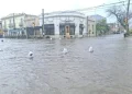 BAHIA BLANCA: Temporal en la ciudad, registraron 26 llamados a Defensa Civil por anegamientos