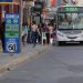 BAHIA BLANCA: Ampliación de pasajes gratuitos para personas con discapacidad