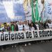 Paro universitario: docentes retoman las medidas y exigen la aplicación de la Ley de Financiamiento