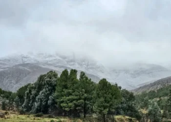 COMARCA SERRANA: Aparecieron las primeras nevadas en Las Sierras