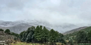 COMARCA SERRANA: Aparecieron las primeras nevadas en Las Sierras