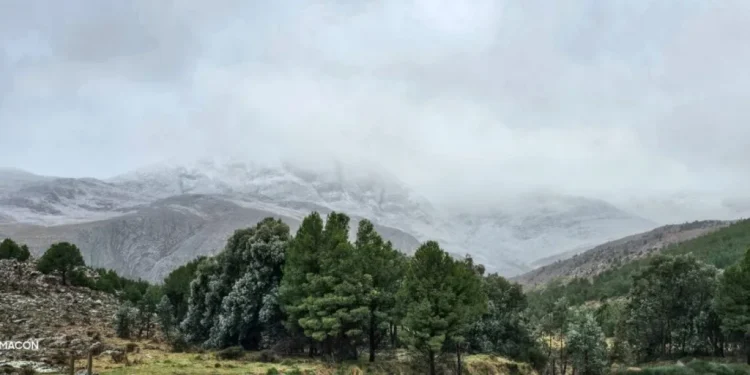 COMARCA SERRANA: Aparecieron las primeras nevadas en Las Sierras  Las autoridades del Parque Provincial Ernesto Tornquist y de la Reserva Natural Sierras Grandes informaron que la nieve ya es visible a menos de 700 metros sobre el nivel del mar.